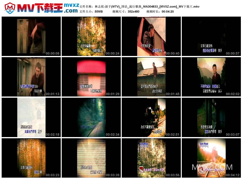林志炫-放手(MTV)_国语_流行歌曲_MA304833
